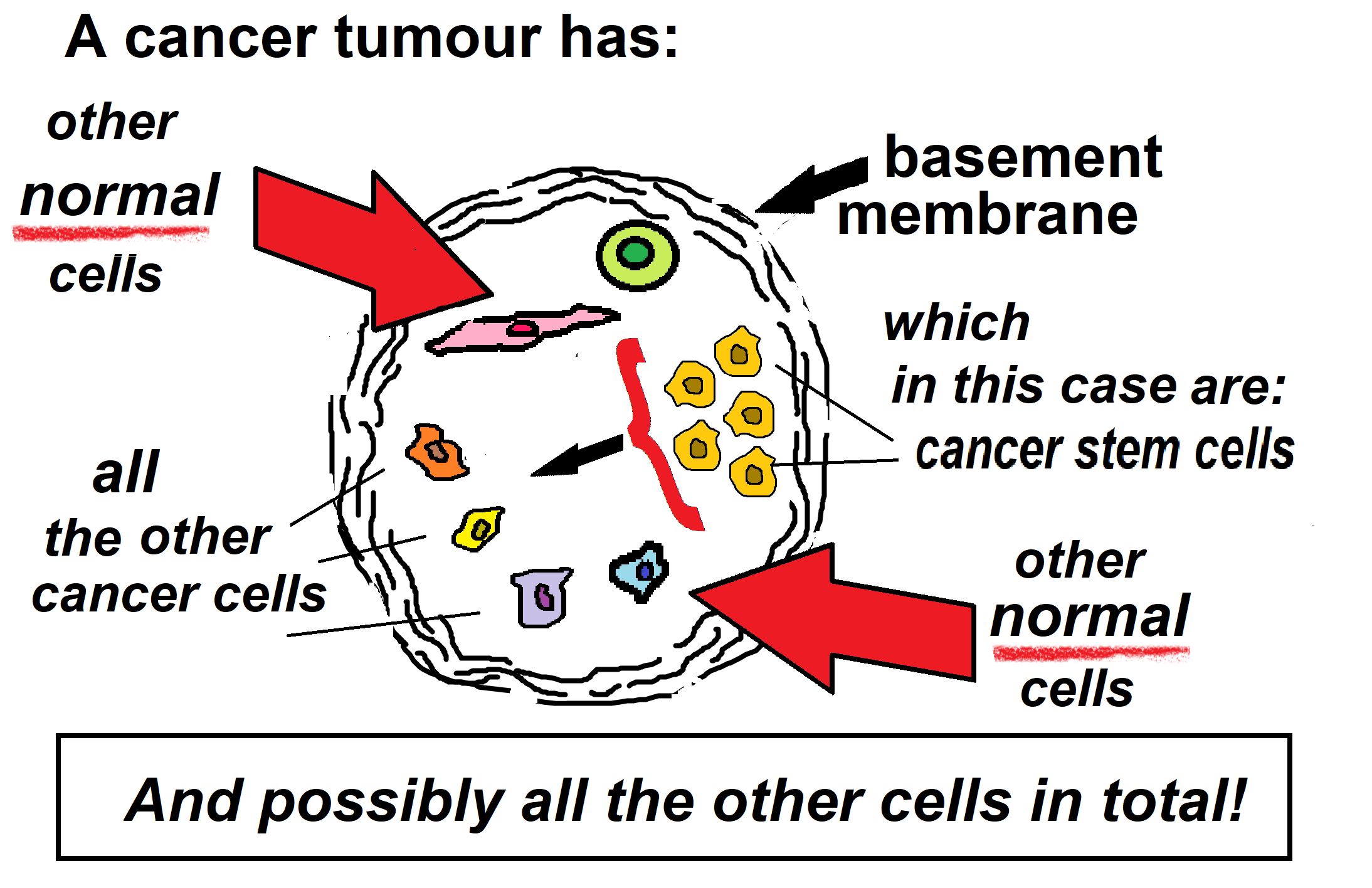 A cancer tumour has other cancer cells2a andgjdd