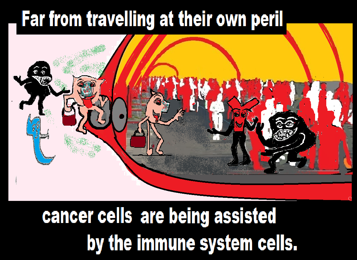 cancer cells assisted by ISCells