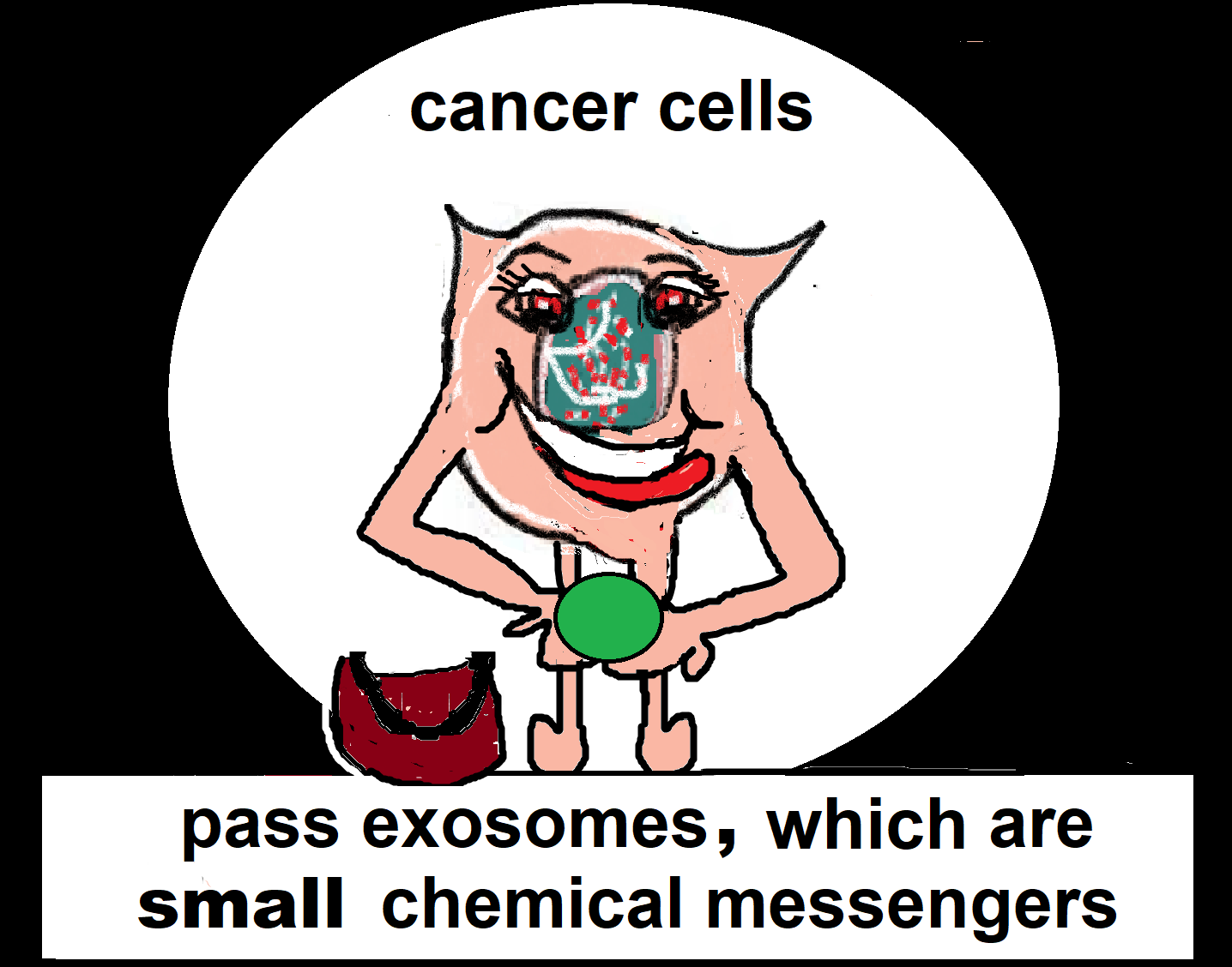cancer stem cell pass exosomesdfds