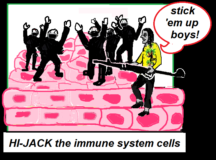 hijack immune cells