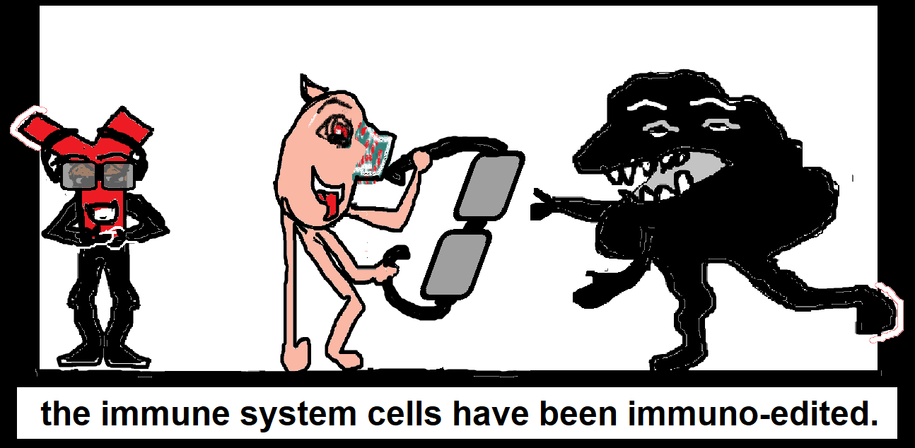 immune cell1 immuno edited1