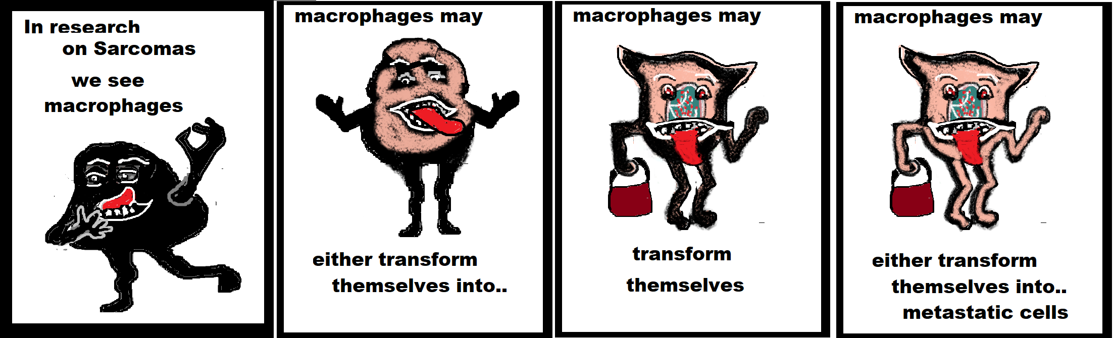 macrophages transform 1234