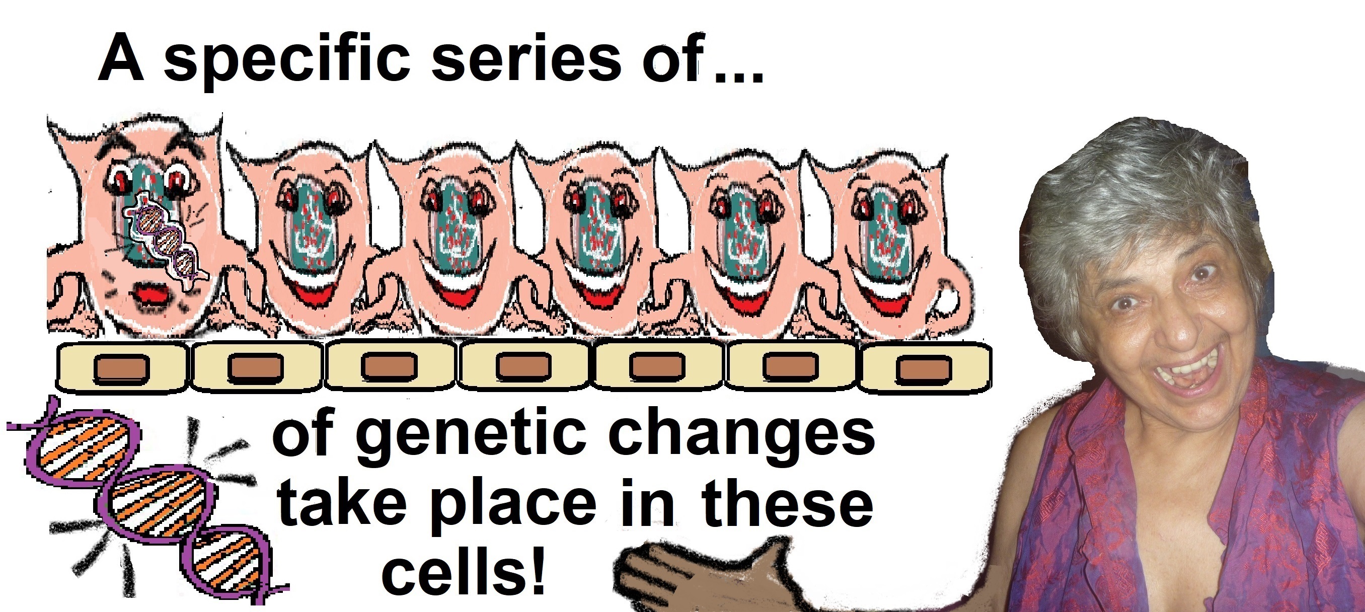 me yeah epigenetic changes1a