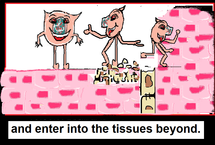 OR break apart basement membrane into tissues beyond