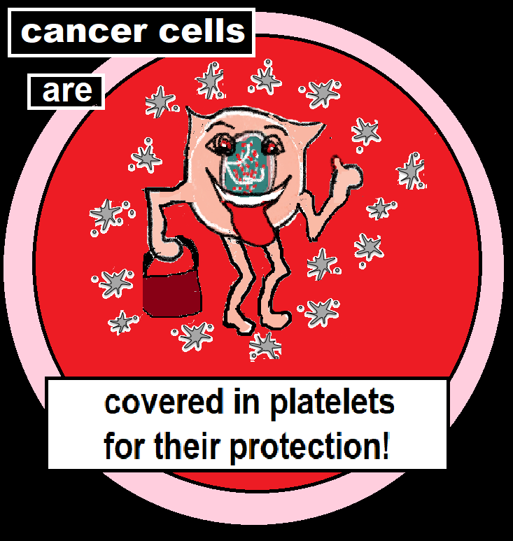 platelets cover them for their prottection