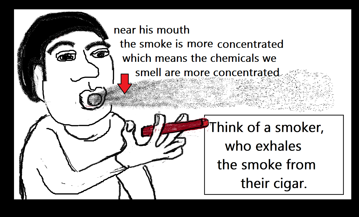 smoker who exhales more concentrated