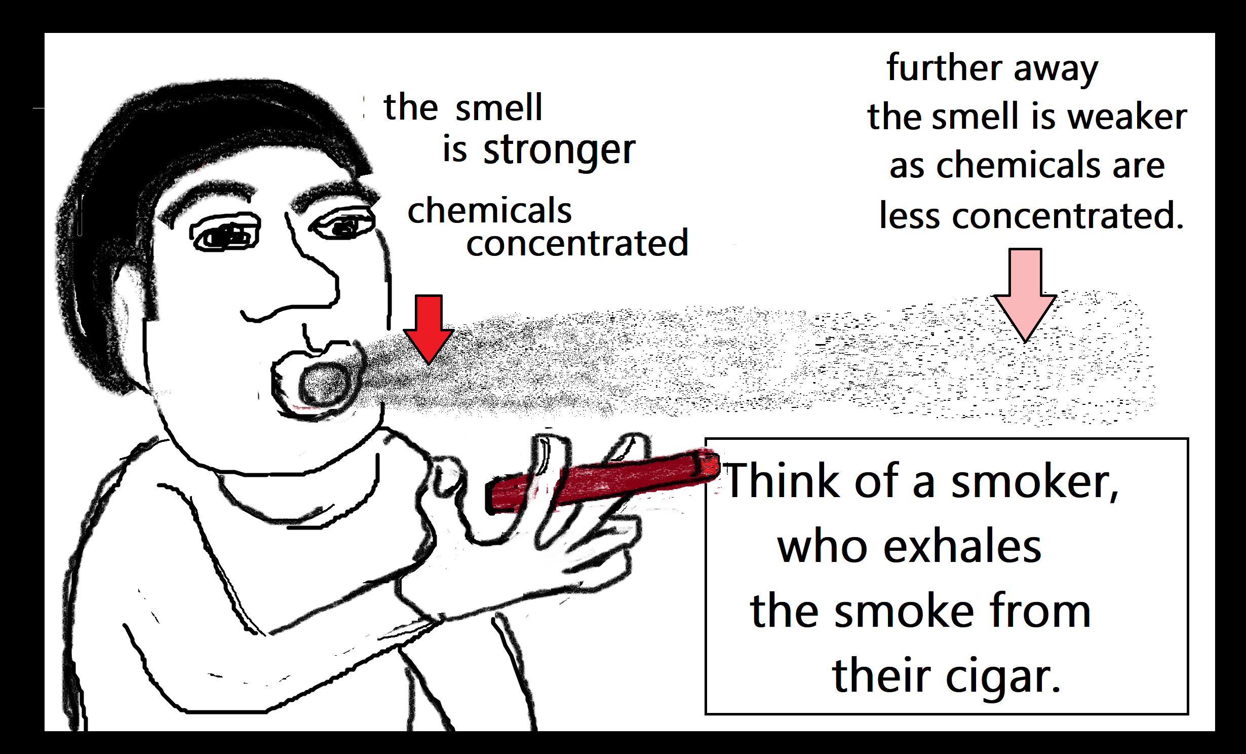 smoker who exhales