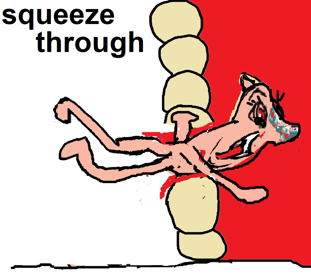 squeeze through3