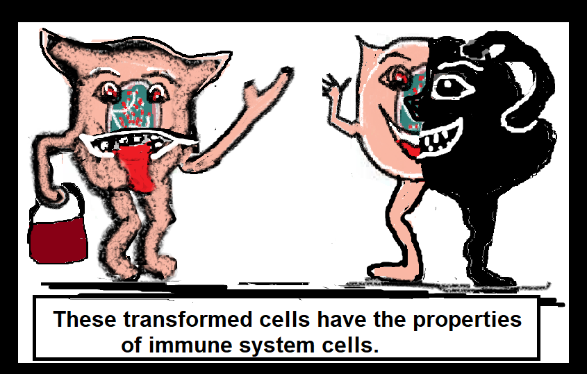 these transformed cells